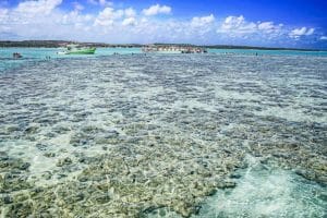 Offerta Tour Rio Salvador e Mare - Nord-Est Brasile la rotta delle emozioni