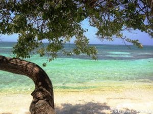 Tour Aroma di Caffe e Caraibi - Islas del Rosario la rotta delle emozioni