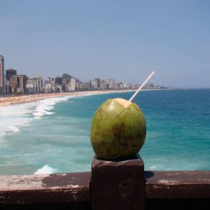 Tour Brasile del Sud - Cocco Copacabana la rotta delle emozioni