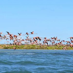 Tour Offerta Rotta delle Emozioni Colombiane Guajira