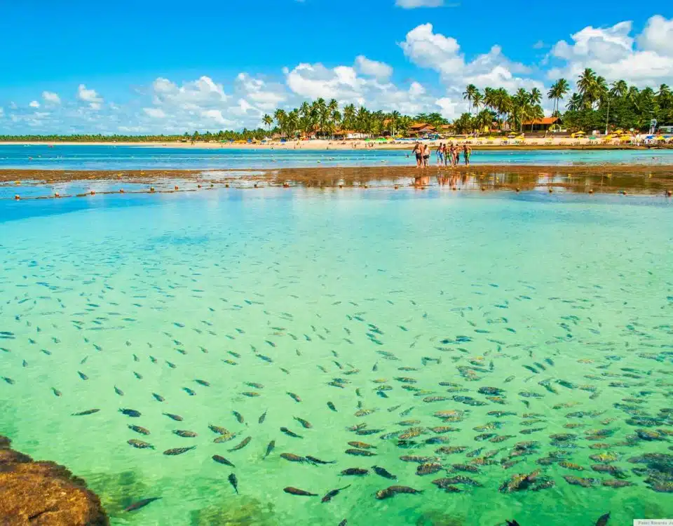 porto galinhas1 la rotta delle emozioni
