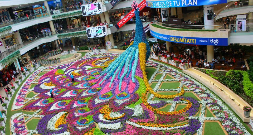 festa fiori colombia la rotta delle emozioni