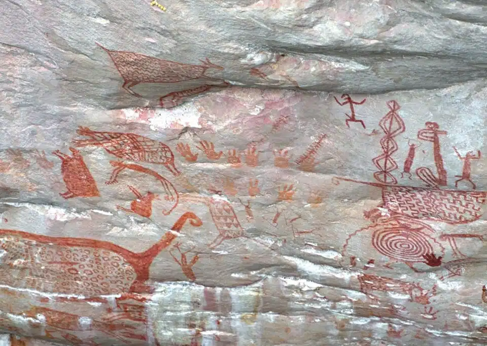 pitture rupestri colombia la rotta delle emozioni