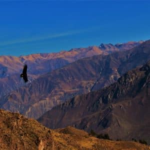 colca canyon la rotta delle emozioni