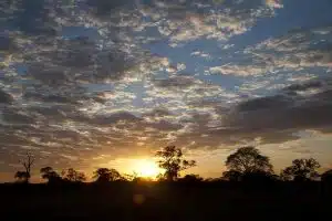 pantanal la rotta delle emozioni