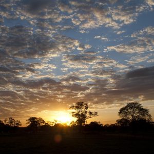 pantanal la rotta delle emozioni