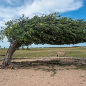 brasile, la rotta delle emozioni , jericoacoara